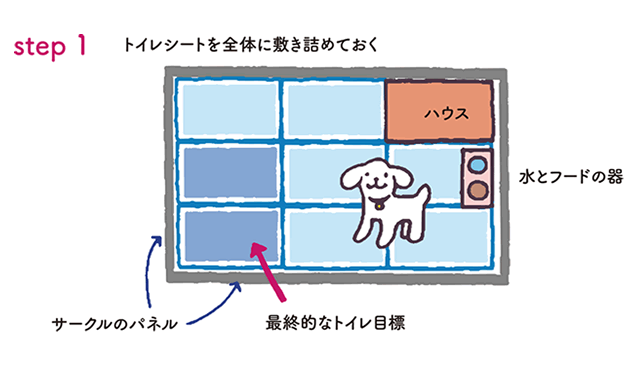 サークルの外では トイレでおしっこをしてくれません ２ ５ 教えて犬ノート 犬のお悩みスッキリ解決 ペットライン