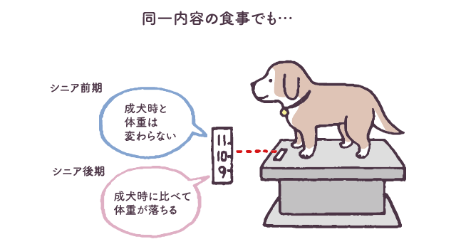 飲み込む力が弱くなったときは食事と環境の見直しを ４ ５ 教えて犬ノート 犬のお悩みスッキリ解決 ペットライン