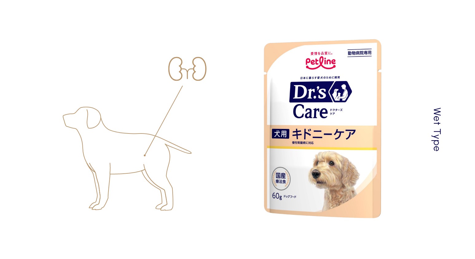 イラストと商品画像