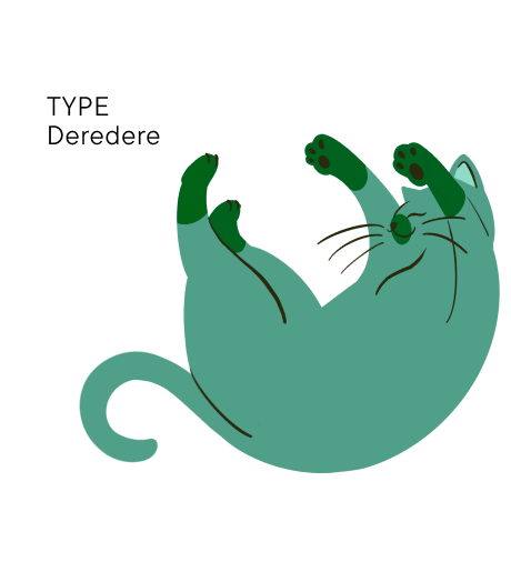 TYPE Deredere