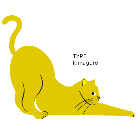 TYPE Kimagure