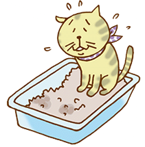 排泄する場所がずれてしまいます ８ １５ 猫のおしっこ雑学 教えて猫ノート 猫のお悩みスッキリ解決 ペットライン