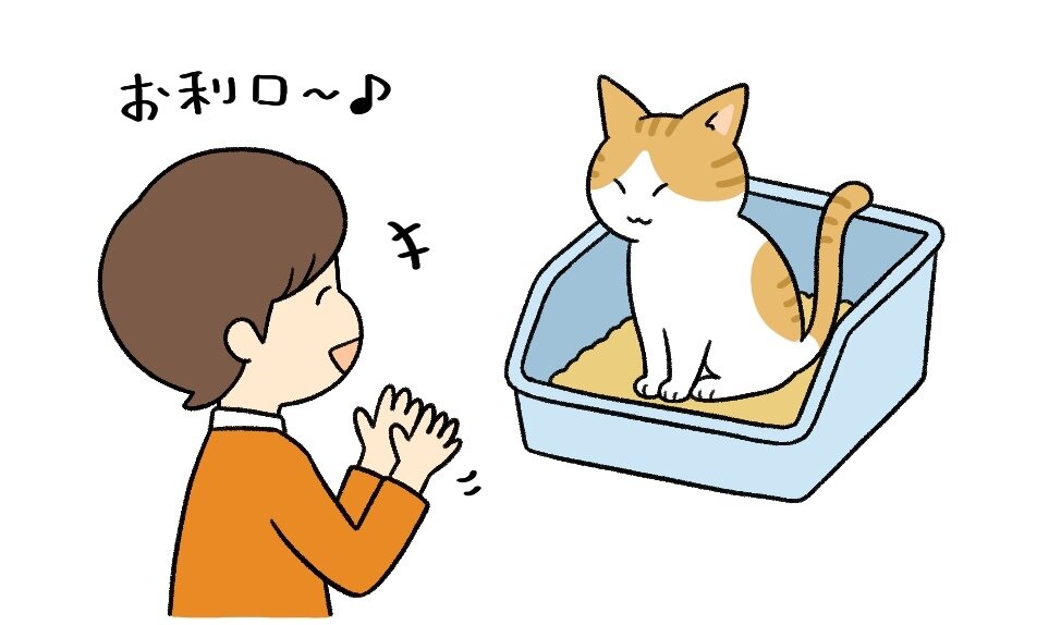 202410猫.jpg