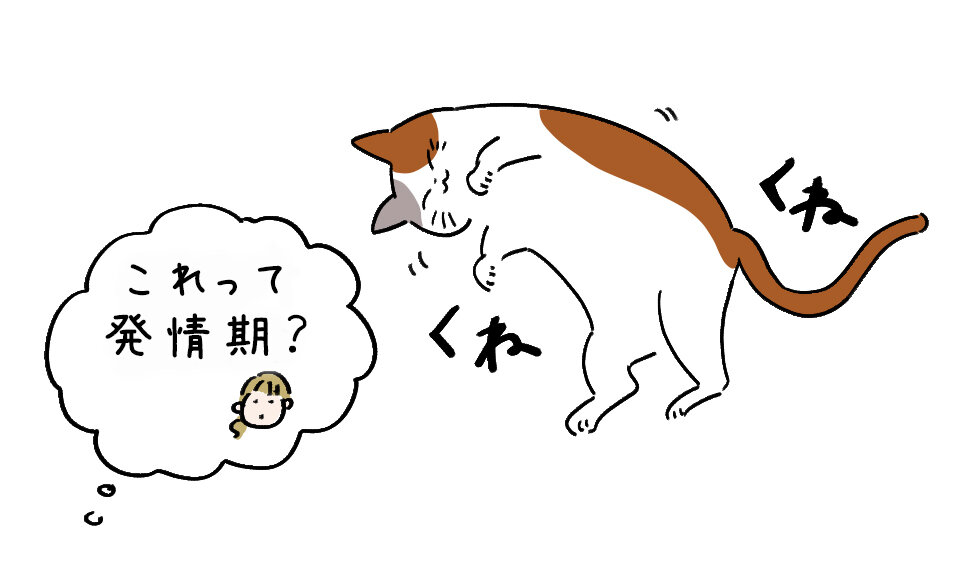 2月_猫ノート_新規記事_07_猫 発情期_イラスト本番_文字再修正.jpg